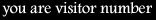 you are visitor number